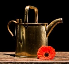 WATERING CAN BRASS VINTAGE OLD