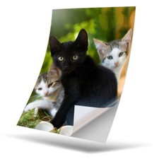 Vinyl sticker cute - sticker, a5