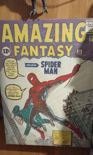Amazing spider man - amazing, #1