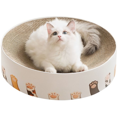 Cat scratching board - board,