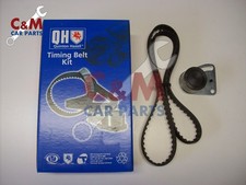 Timing belt tensioner and - timing,