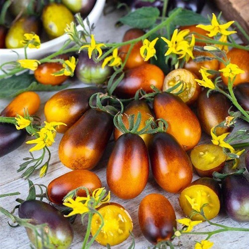 Tomato cherry indigo - cherry, pear