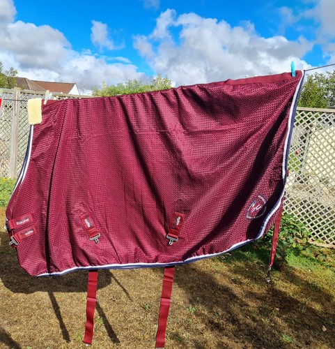 Burgundy premier equine buster - equine,