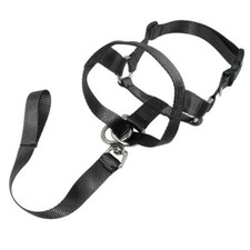 Dog Halter Training Head