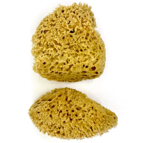 Art sponges for - for, painting