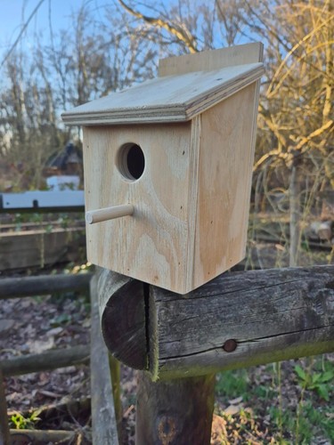 Small bird nest - small,