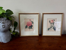 2 Vintage Rare Botanical Art Camellia  Rose Pierre-Joseph Redouté Berlese Framed