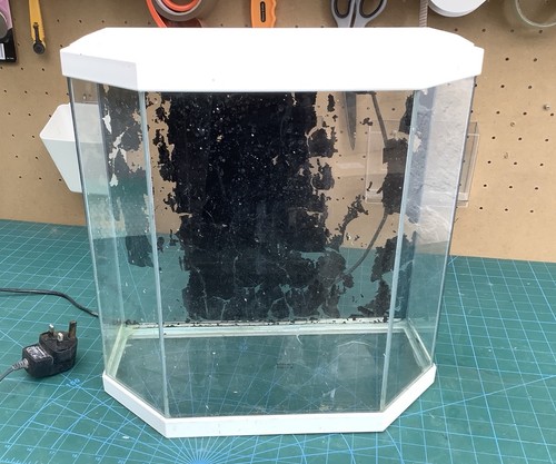 Hexigan front small fish tank - fish,