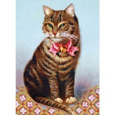 Tabby Cat with Bow - Blank