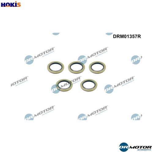 Seal ring oil - seal, plug