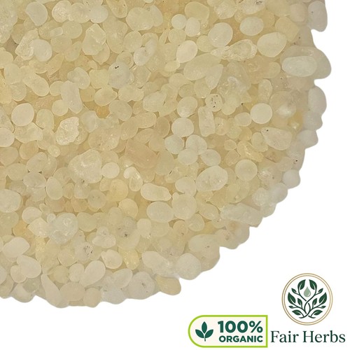 Chios mastic gum resin - mastic,