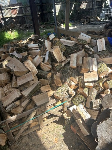 Unseasoned split logs from - 🌳unseasoned,
