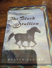 The Black Stallion Walter