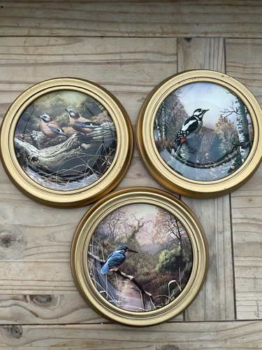 Adrian rigby x decorative - c,