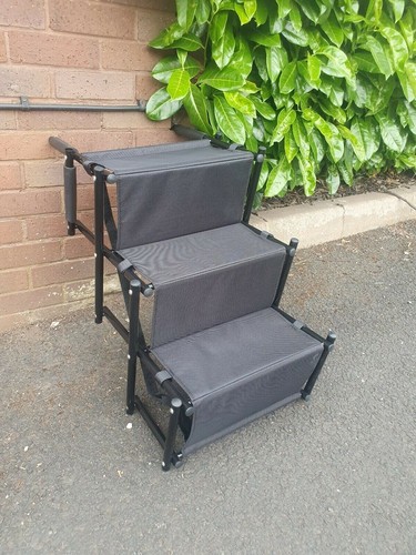 Tier dog disability - dog, car