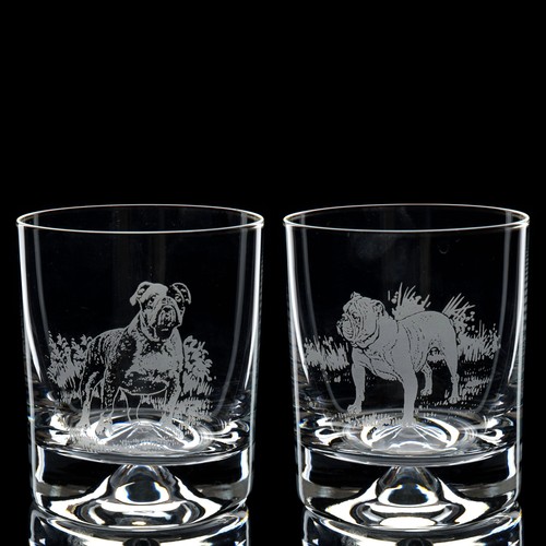 English bulldog dog whiskey - dog,