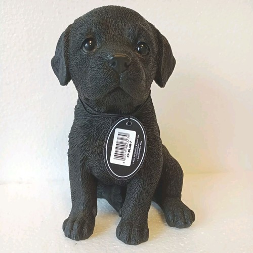Vivid arts pet pals black - arts,