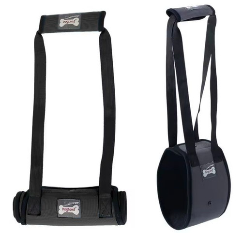 Dog hind leg support - dog,