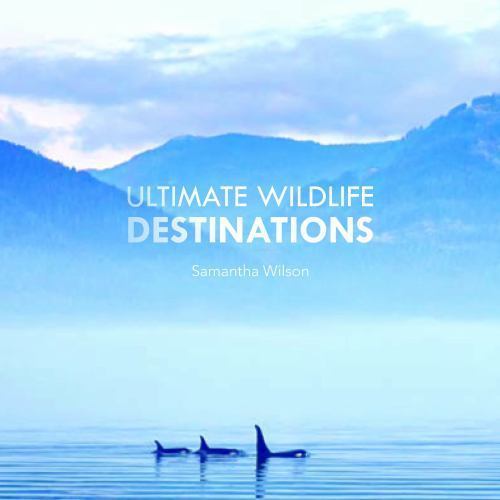 Ultimate wildlife - ultimate,