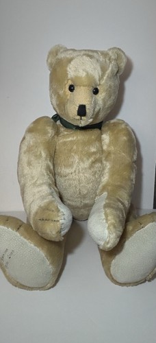 Canterbury bears limited - canterbury,