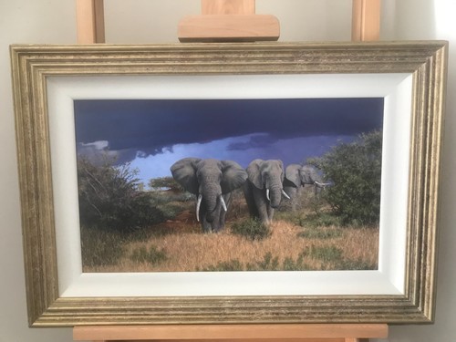 Stephen park oil - park, board