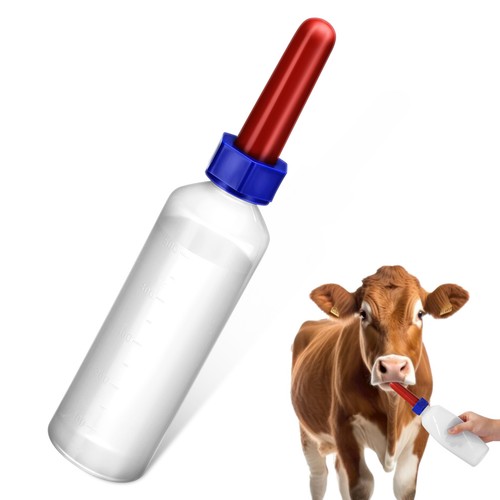 Livestock bottle calf nursing - livestock,