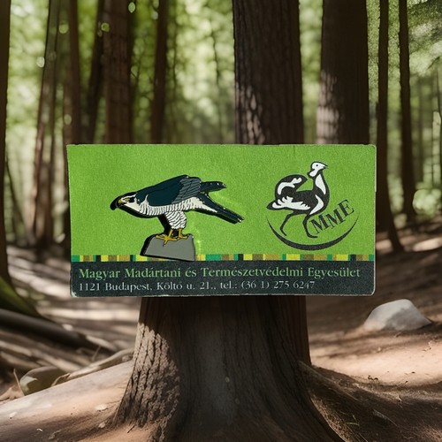 Mme rspb pin badge - pin,