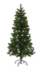 Xmas Christmas Tree Pine Fern