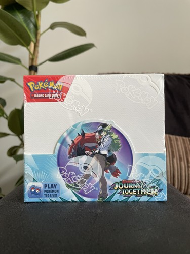 Pokemon journey together - pokemon,