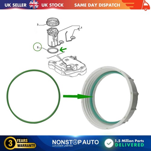 Fuel pump ring - ring, seal