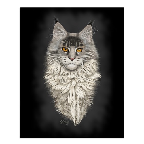 Signed maine coon - signed, pencil
