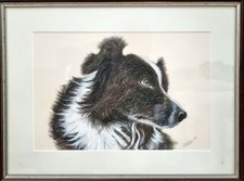 Original Artwork by Anita Agabeg of Border Collier, "Rebel". Produced in 1998.