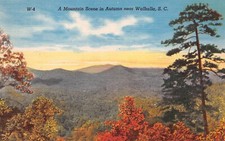 Fall Tree Leaves Walhalla West