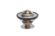 THERMOTEC D2G001TT Thermostat
