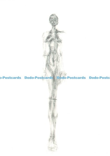 D245328 standing nude alberto - nude,
