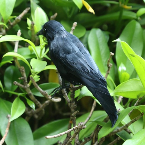 Artificial crow animal feather - crow,