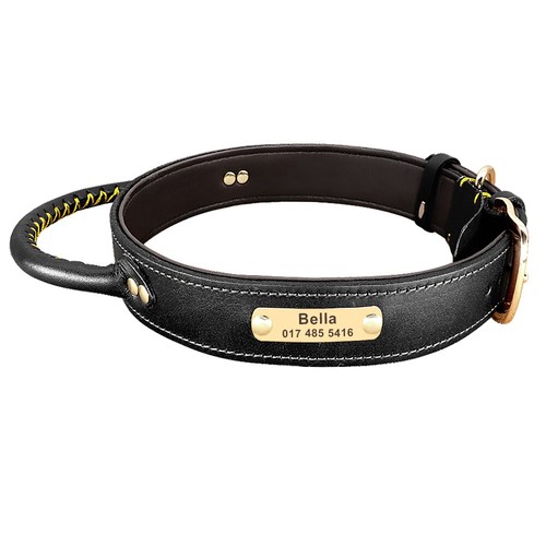 Leather dog collar - dog, id