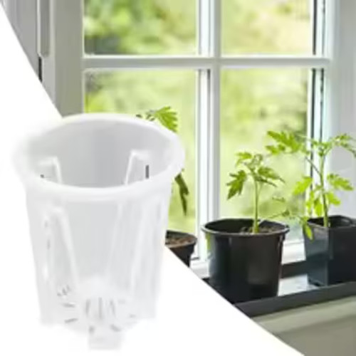 16cm orchid pot clear - orchid,