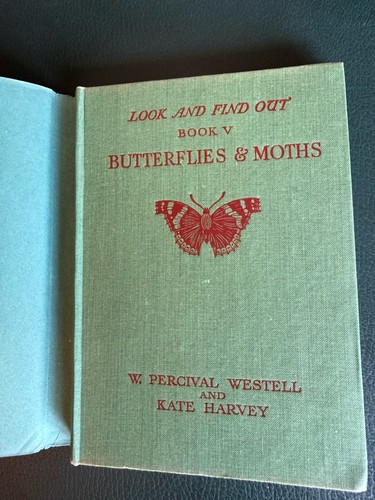 Butterflies moths look - moths.,