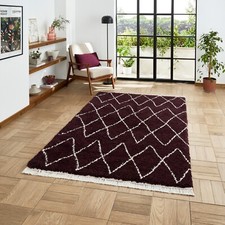 Soft Shaggy Rugs For Living