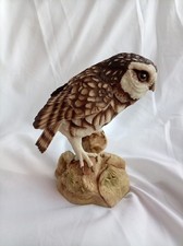 Rare Vintage Teviotdale