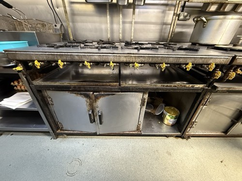 Commercial gas cooker - commercial,