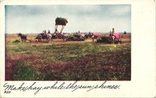 "MAKING HAY" FARM SCENE c1910 original antique postcard hay rack horses