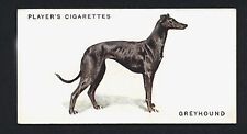 GREYHOUND PLAYERS 1931 ISSUE FULL LENGTH DOGS OLD DOG CIGARETTE CARD #14