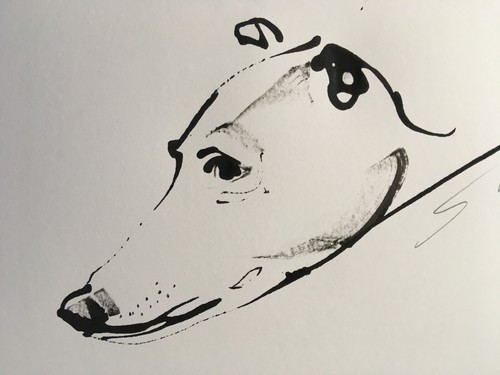 Original signed ink - signed, sketch