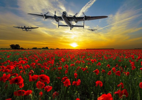 Avro lancasters over poppy - lancasters,