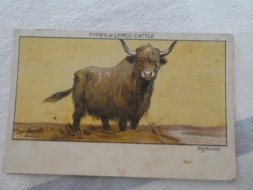 Vintage c1906 artist card - c1906,