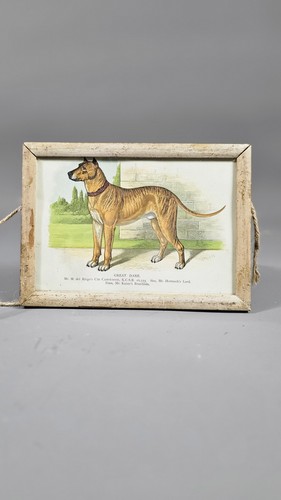 Antique dog picture - dog,