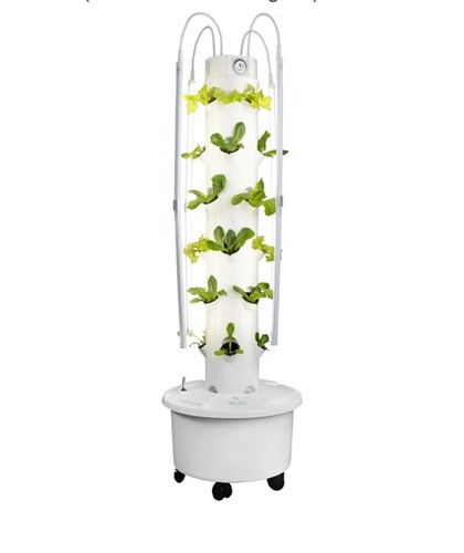 Hydroponic tower growing - hydroponic,