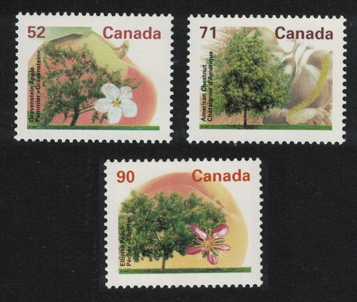 Canada grauenstein apple - canada,